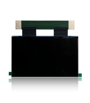 Panoul LCD (10