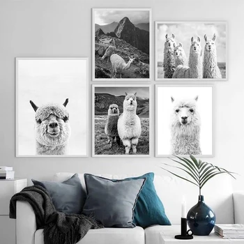 Animale Alpaca Arta de Imprimare și Poster , Alpaca Fotografie Panza Pictura Imagine Sud-American Animale Arta de Perete Decor