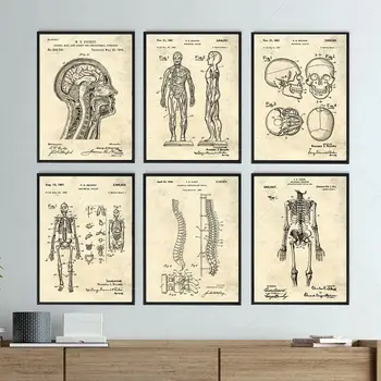 Structura Corpului Retro Poster Anatomie Brevet Fiziologia Scheletului Canvas Postere Medicale La Domiciliu Cameră Decor De Perete De Arta Pictura Cadou